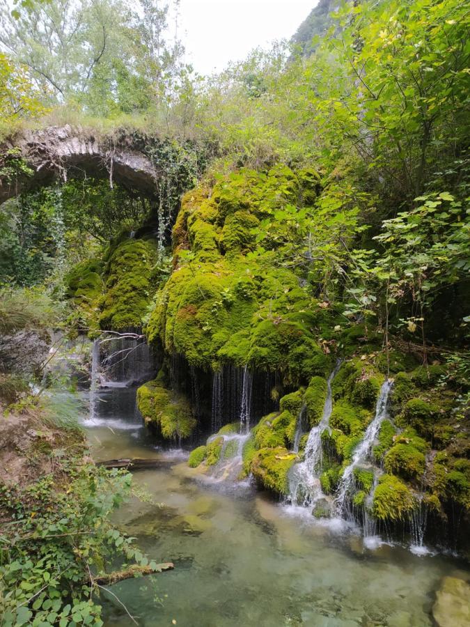 Tenuta Vallina - Golfo Di Policastro Tortorella Buitenkant foto